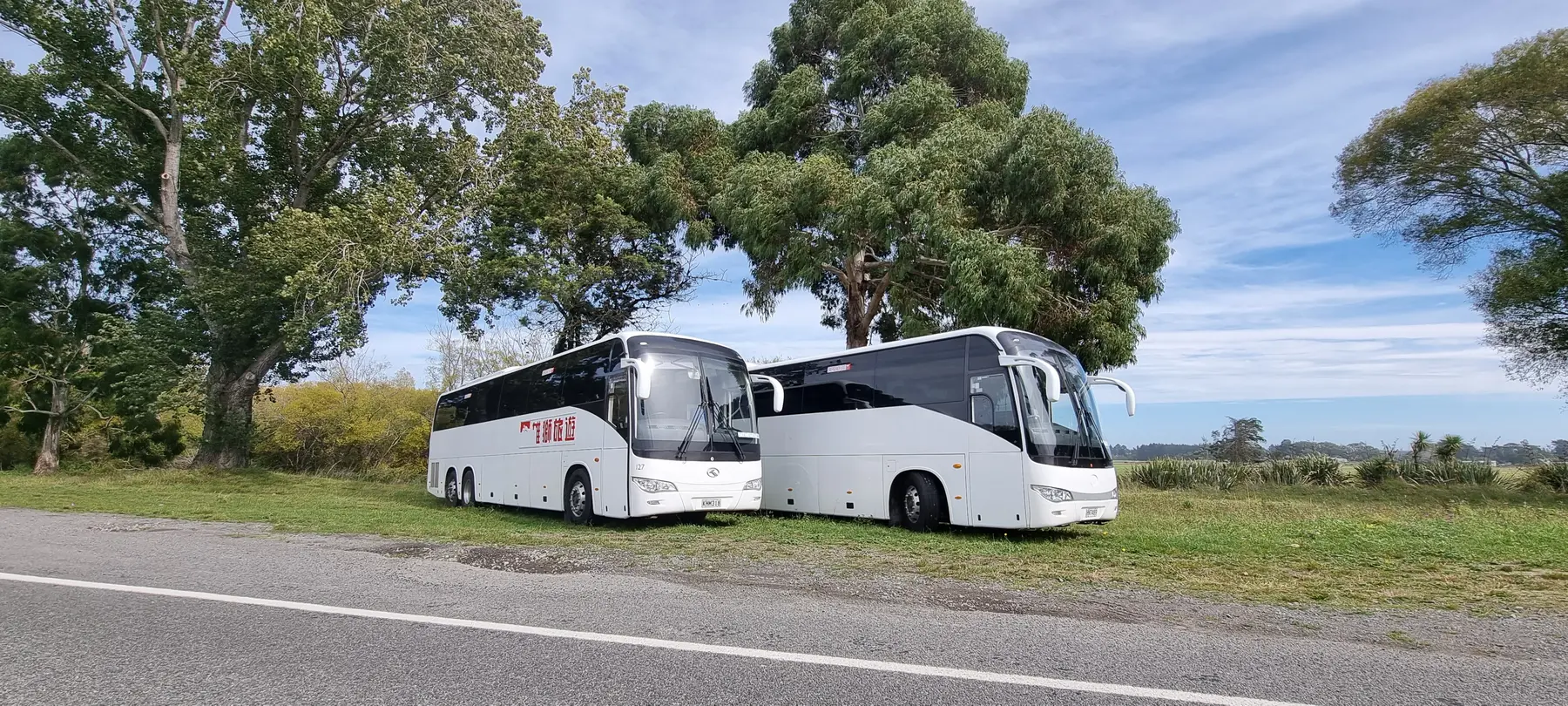 Two coaches parked together on a South Island journey
